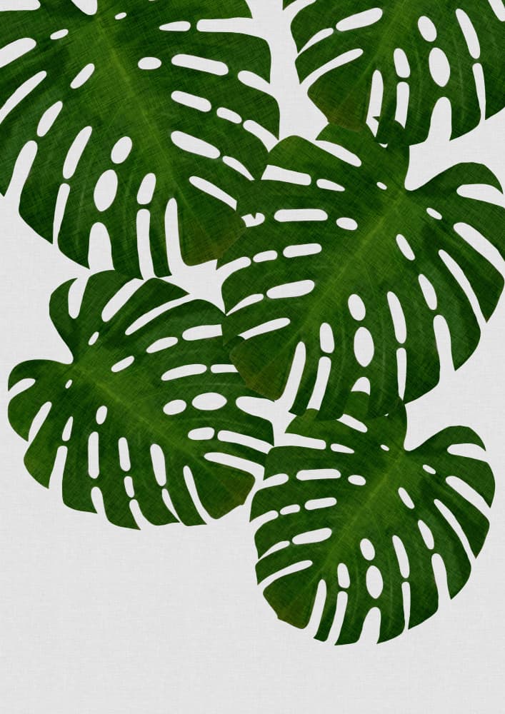 Tropical Monstera Leaves by Orara Studio — canvas wall art