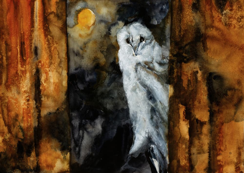 Moonlit Owl Embrace by RodMacIver — canvas wall art