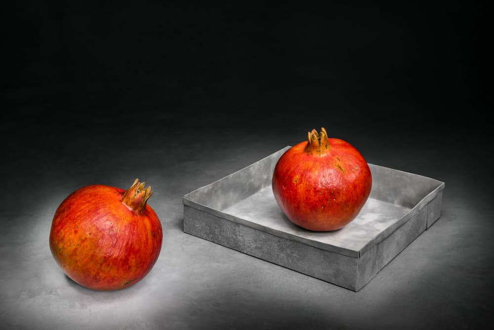 Pomegranates In Shadow by Christophe Verot — canvas wall art