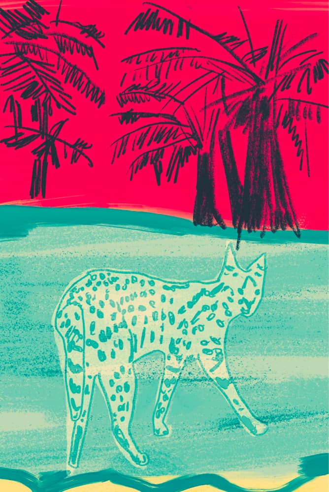 Vibrant Jungle Cat by Beate Tubach — canvas wall art