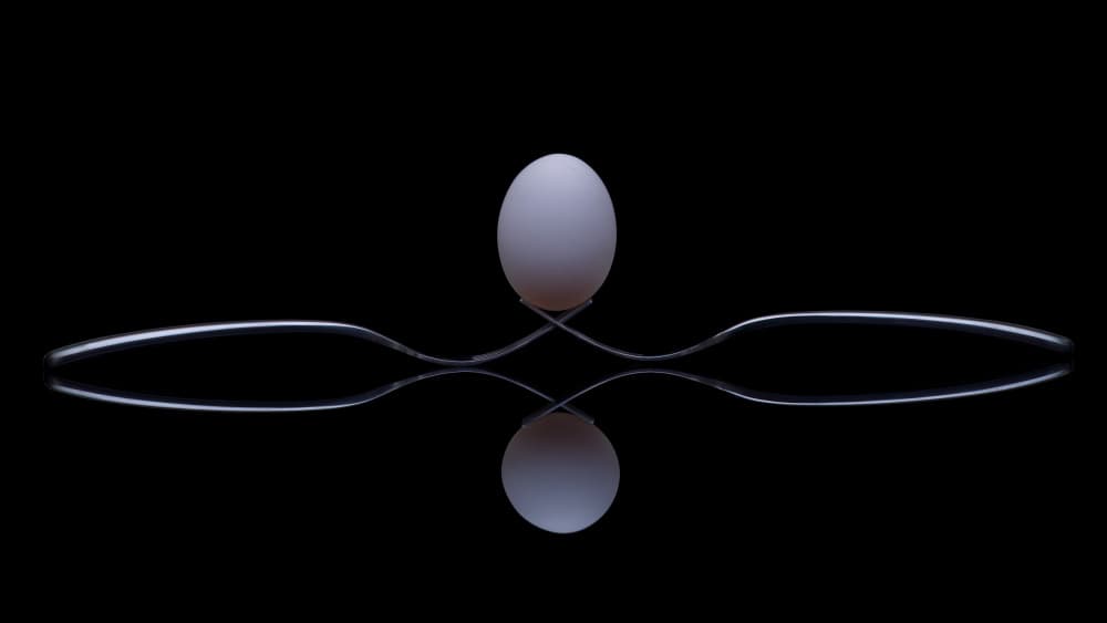 Balanced Egg Reflection by Alice Sheng — canvas wall art
