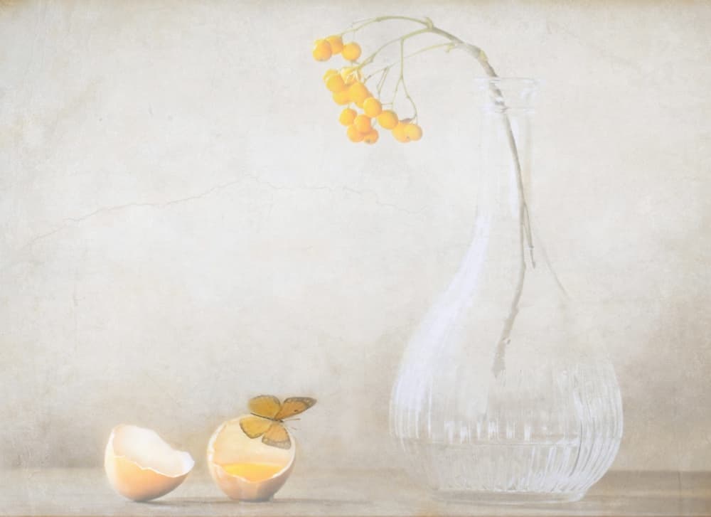 Butterfly Egg And Berries by Delphine Devos — canvas wall art