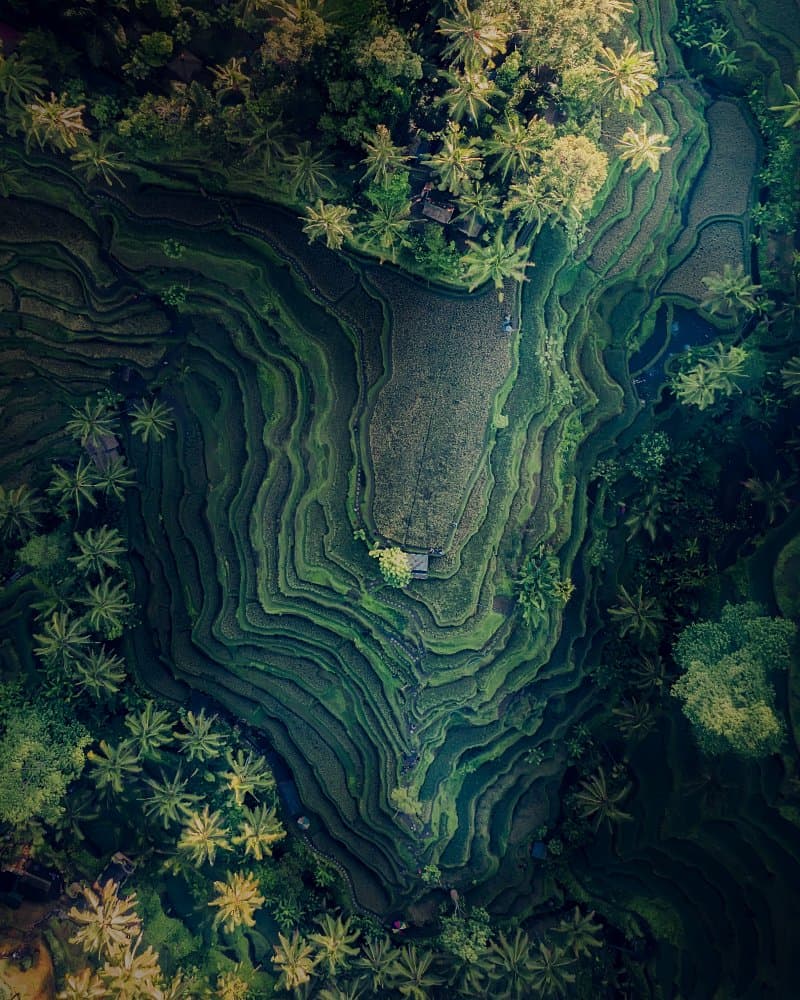 Tropical Rice Terraces by Fikri Muharram — canvas wall art