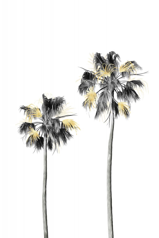 Golden Tropical Palms by amini54 — canvas wall art