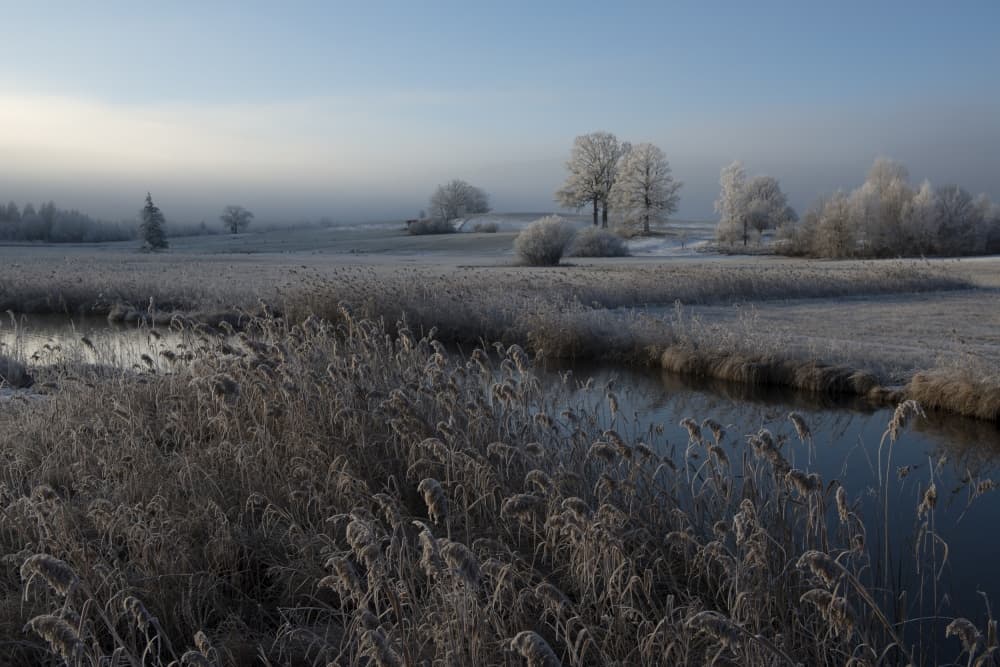 Frosted Winter Morning by Nina Pauli — canvas wall art
