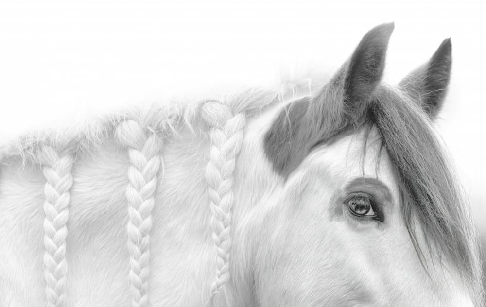 Elegant Braided Horse by Catherine Wang — canvas wall art