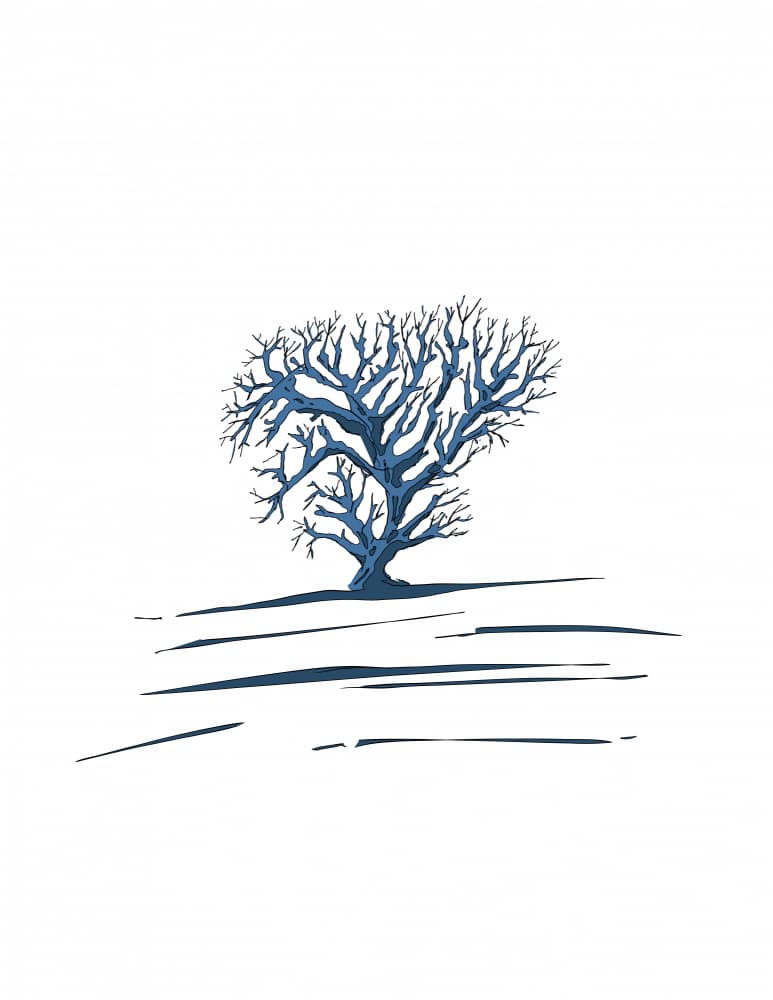Indigo Winter Tree by Nicholas — canvas wall art