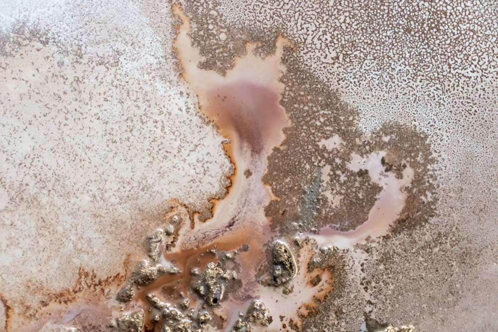 Australian Desert - Discovery by Petra Meikle de Vlas — canvas wall art