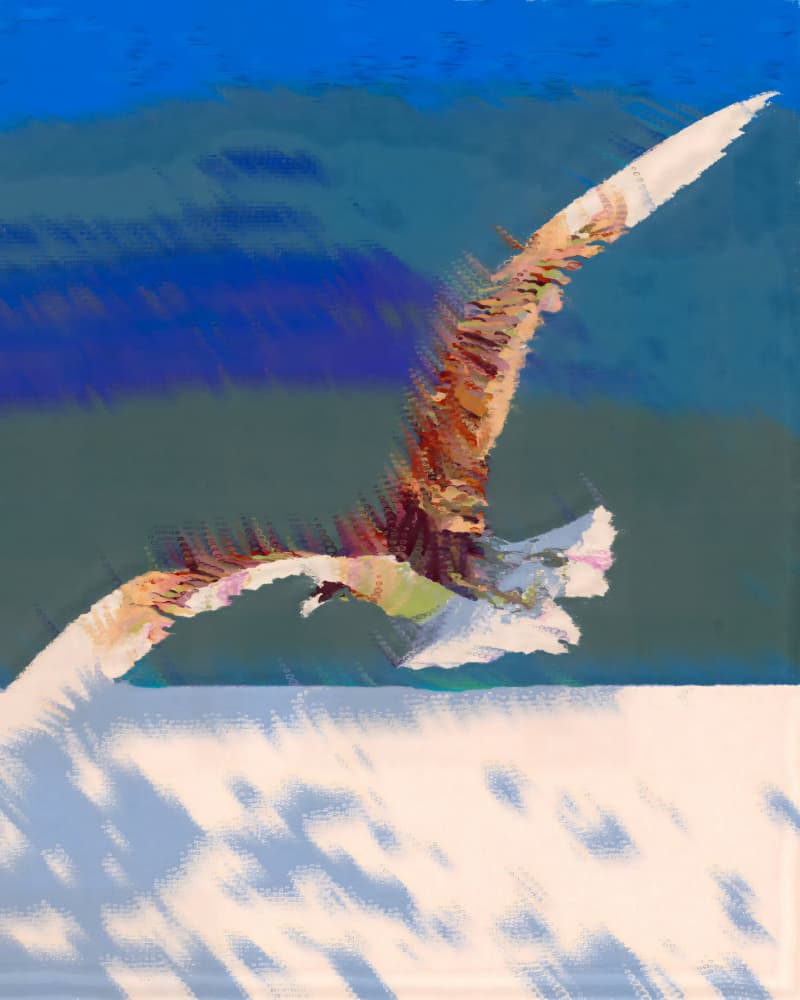Soaring Seagull Over Snow by Uma Gokhale — canvas wall art