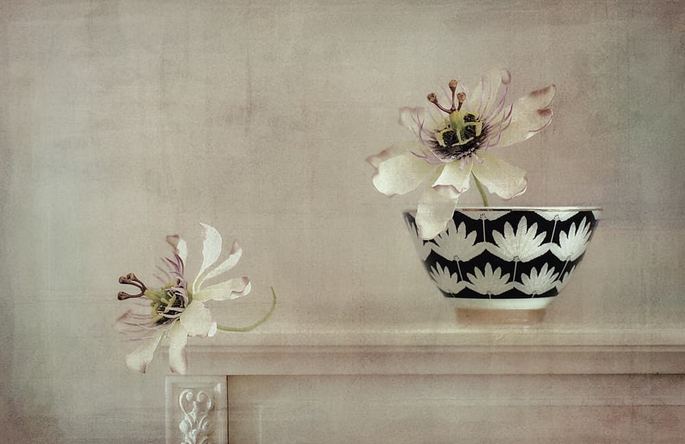 Passionflower Still Life by Elena Arjona — canvas wall art