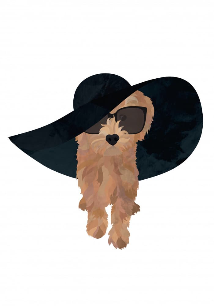 Dog in Sunglasses and Hat by Sarah Manovski — canvas wall art