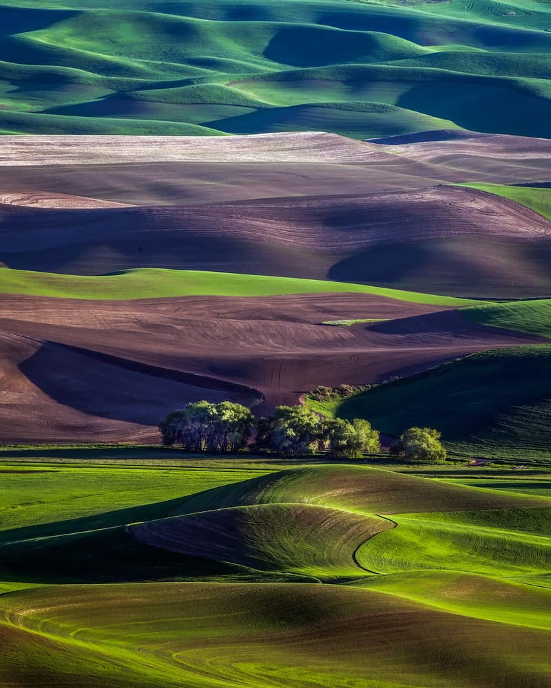 Rolling Hillside Patterns by David H Yang — canvas wall art