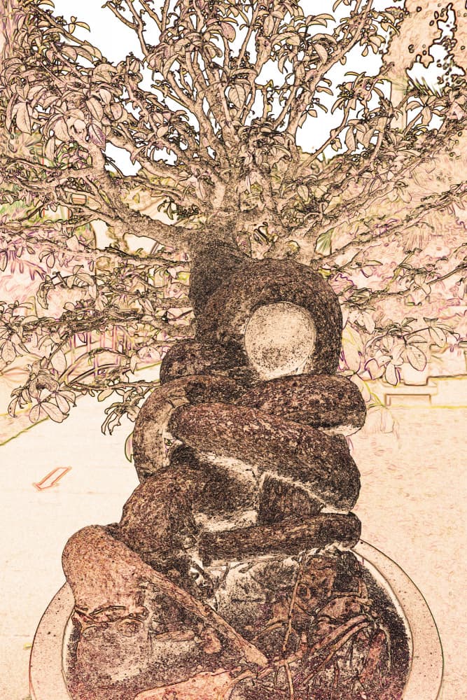 Ancient Bonsai Tree by Santhosh ch — canvas wall art
