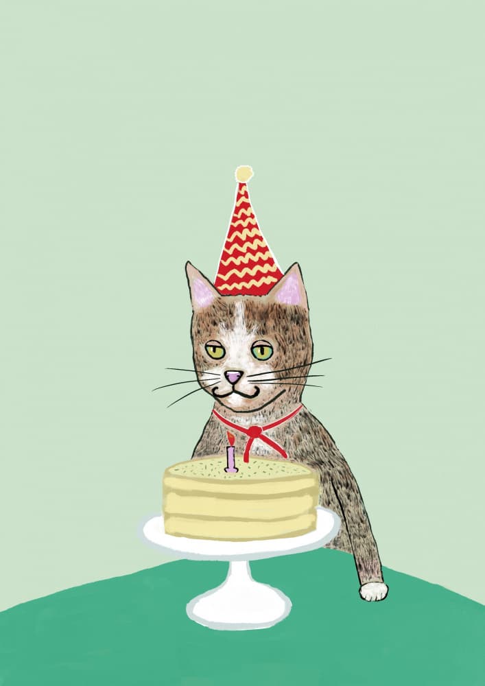 Grumpy Birthday Cat by Sharyn Bursic — canvas wall art