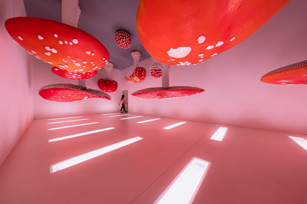 Pink Mushroom Fantasy by Marco Tagliarino — canvas wall art
