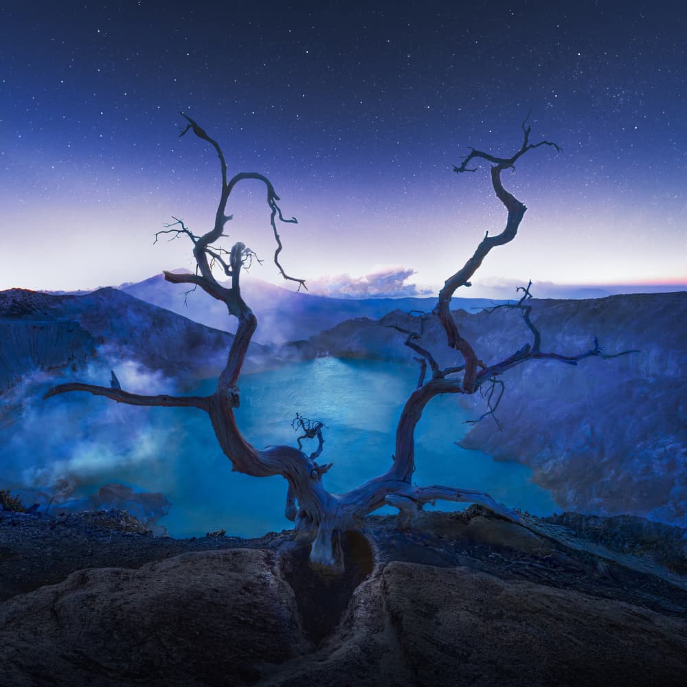 Starry Crater Lake Tree by Leah Xu — canvas wall art
