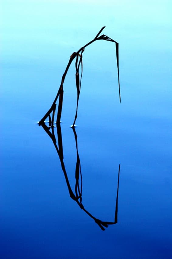 Still Blue Reflection by Bror Johansson — canvas wall art
