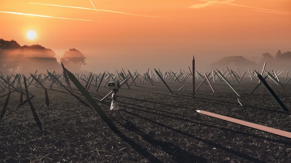 Golden Hour Pencil Field by Alexandre Brouzes — canvas wall art