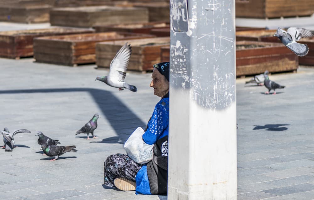 Street Pigeons and Woman by Ömer Ates Kızıltug — canvas wall art