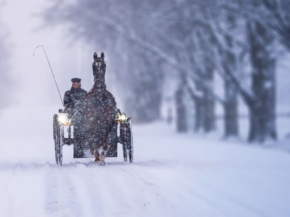 Snowy Horse Carriage by Raghuvamsh Chavali — canvas wall art