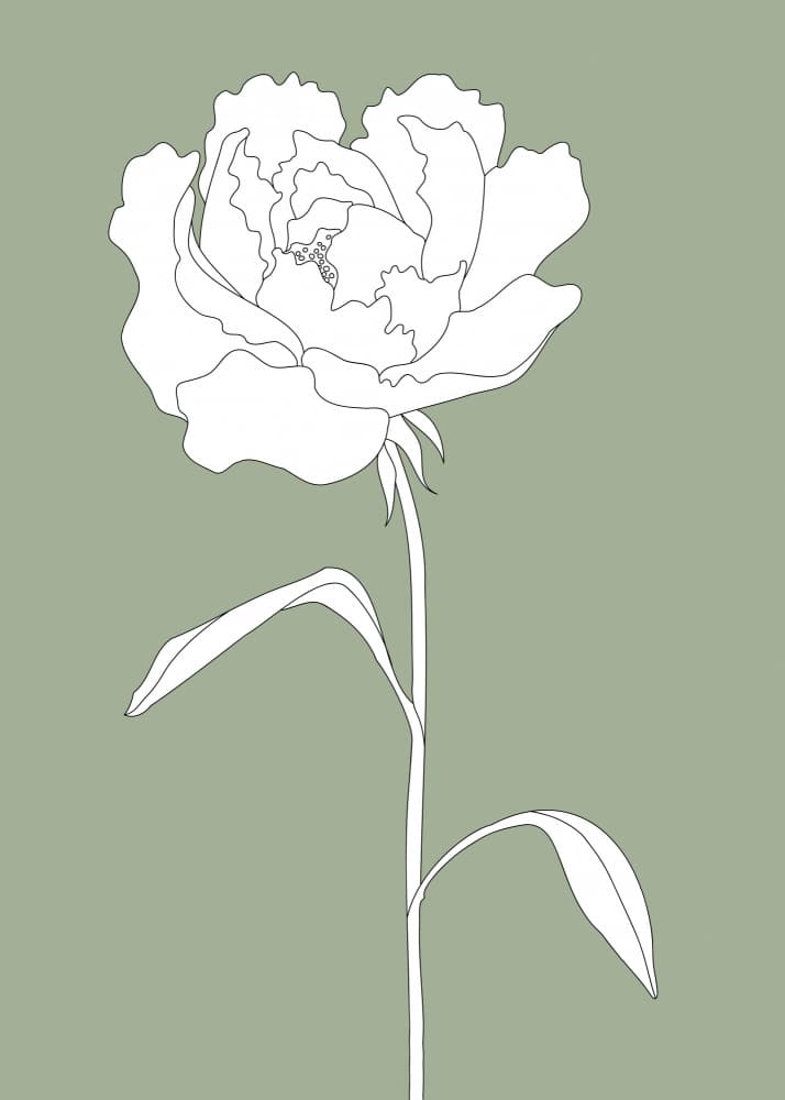 Elegant White Peony by Pictufy Studio II — canvas wall art