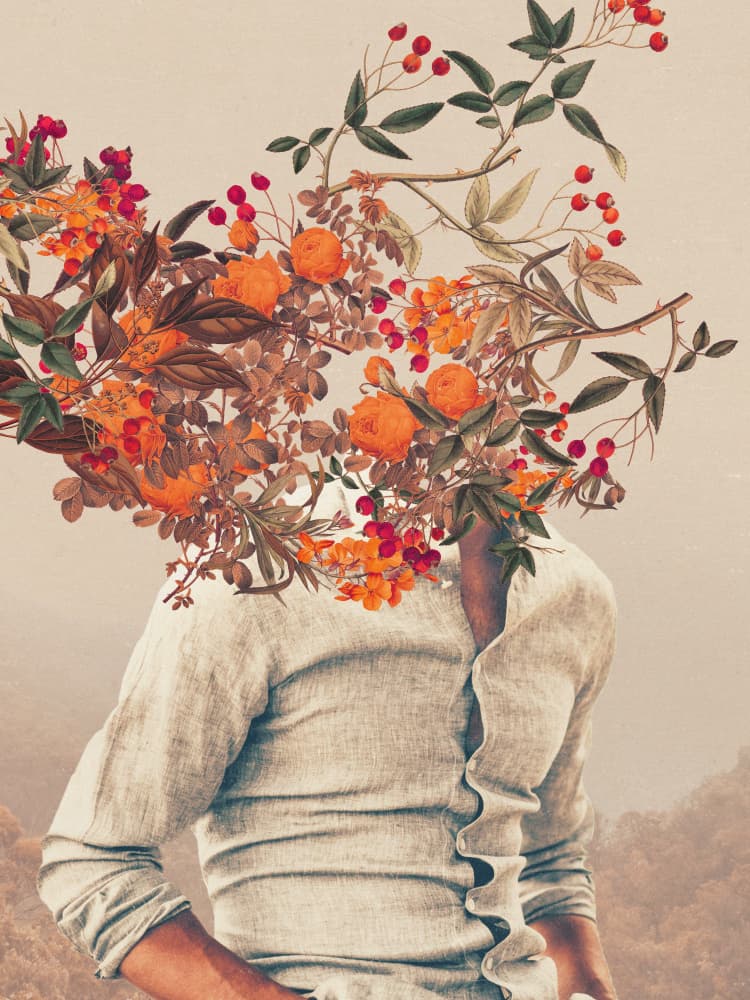 Roots Bright by Frank Moth — canvas wall art
