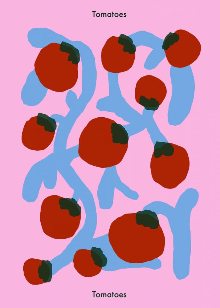 Vibrant Pink Tomatoes by Emma Make — canvas wall art