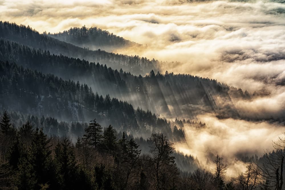 Misty Mountain Sunbeams by Ulrike Leinemann — canvas wall art