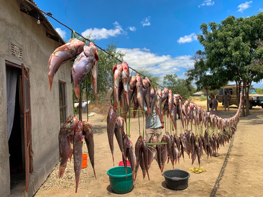 Village Fish Drying by Ronald Scott Johnson — canvas wall art