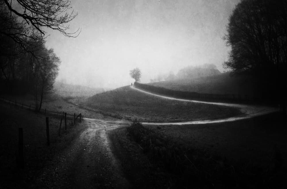 Misty Country Road by Adam Dauria ☂ — canvas wall art