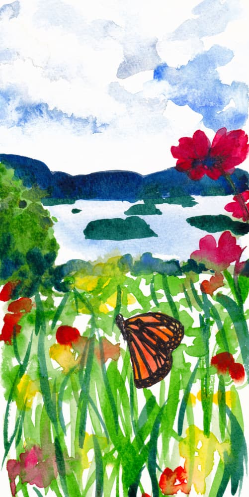 Monarch Butterfly Lake View by Christine Lindstrom — canvas wall art