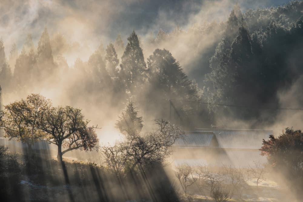 Misty Morning Sun Rays by 市岡弘光 — canvas wall art