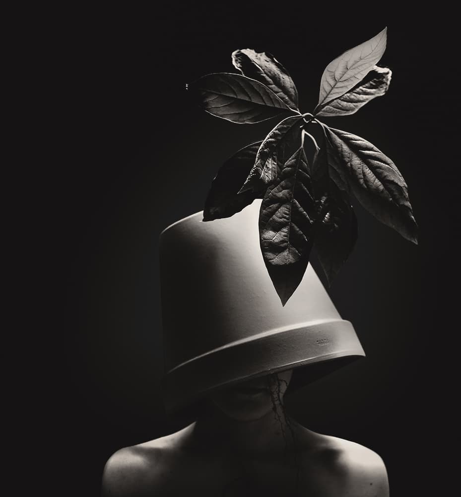 Surreal Botanical Figure by Roland Helerand — canvas wall art