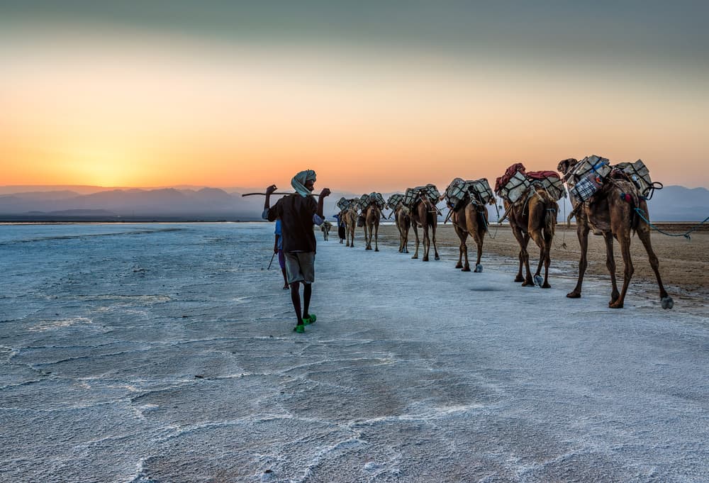 Sunset Salt Flats Journey by Jaap Koer — canvas wall art
