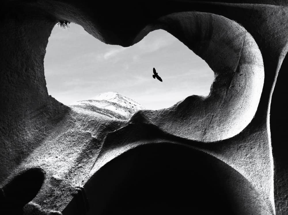 Bird Through Cave Opening by Lammakmak — canvas wall art