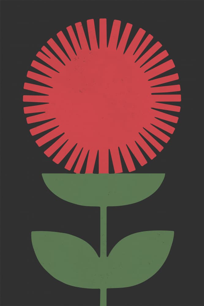 Graphic Red Flower