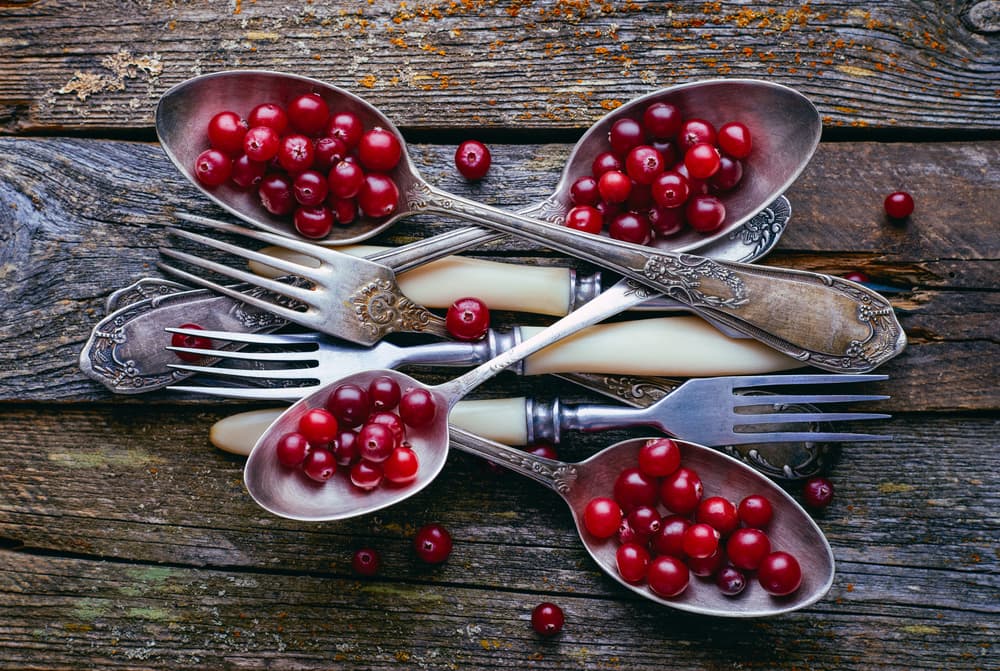 Rustic Cranberry Spoons by Karina Aleksandrova — canvas wall art