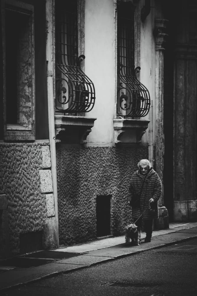 Urban Stroll with Dog by Renate Wasinger — canvas wall art