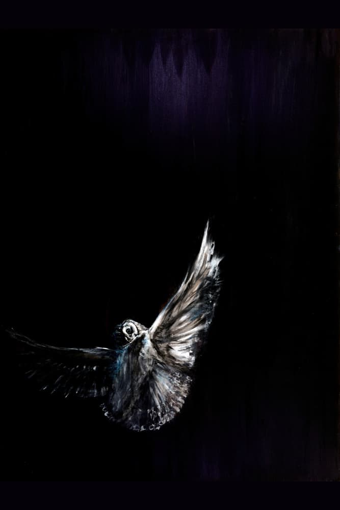 Nocturnal Owl Flight by RodMacIver — canvas wall art