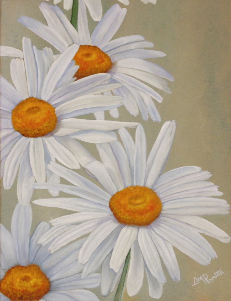 Cheerful White Daisies by Angeles M. Pomata — canvas wall art