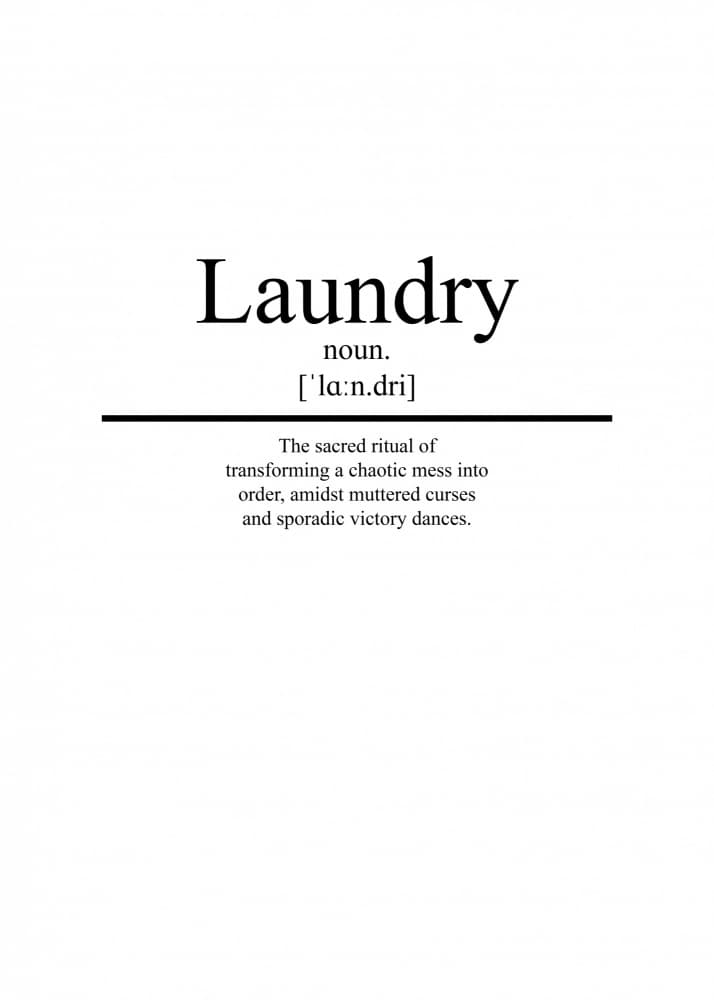 Laundry Day Humor by Pictufy Studio — canvas wall art