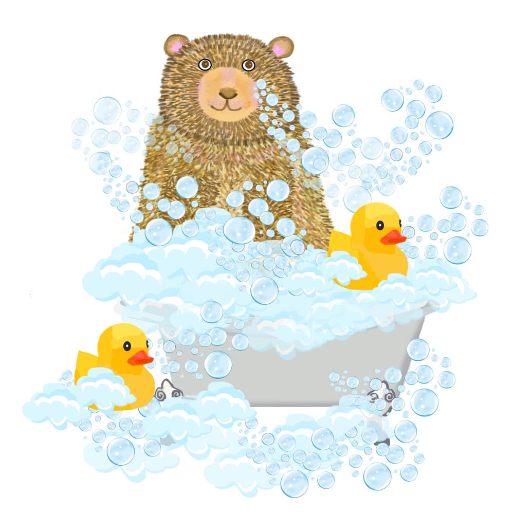 Bear's Bubble Bath by Lynnda Rakos — canvas wall art