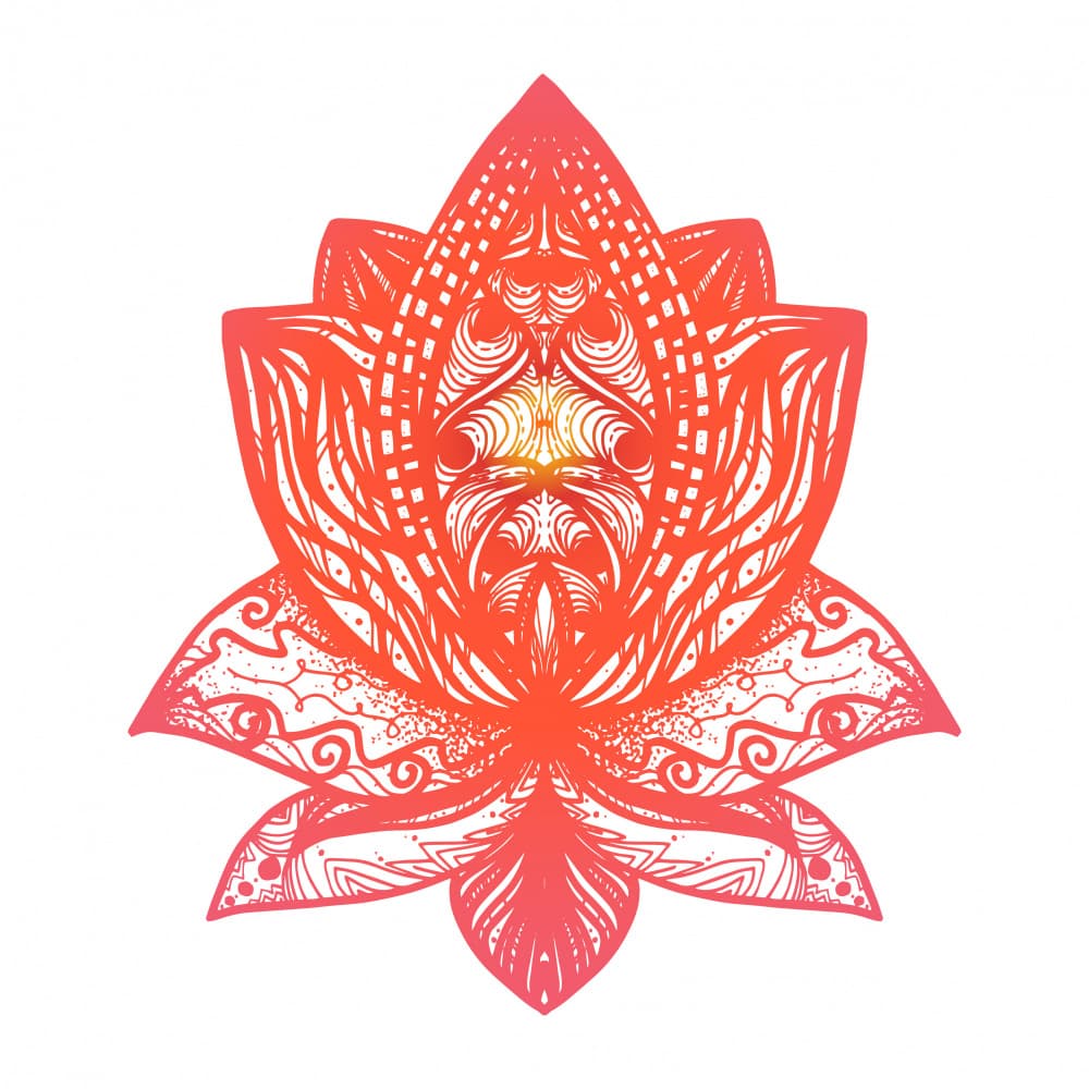Radiant Lotus Pattern by Marika Barsrsind — canvas wall art