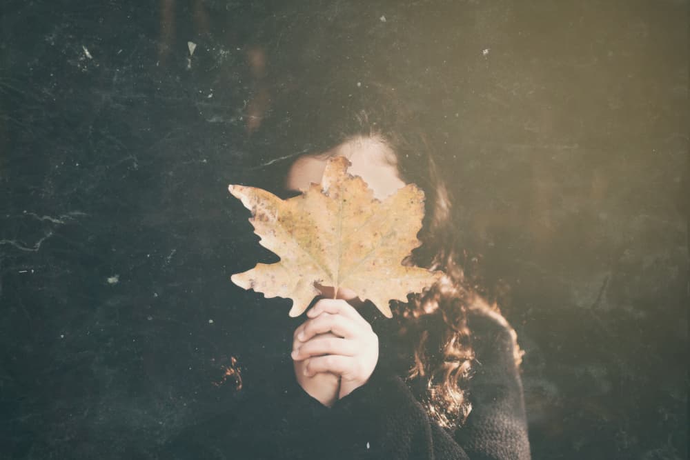 Autumn Leaf Hiding by Saleh Swid — canvas wall art
