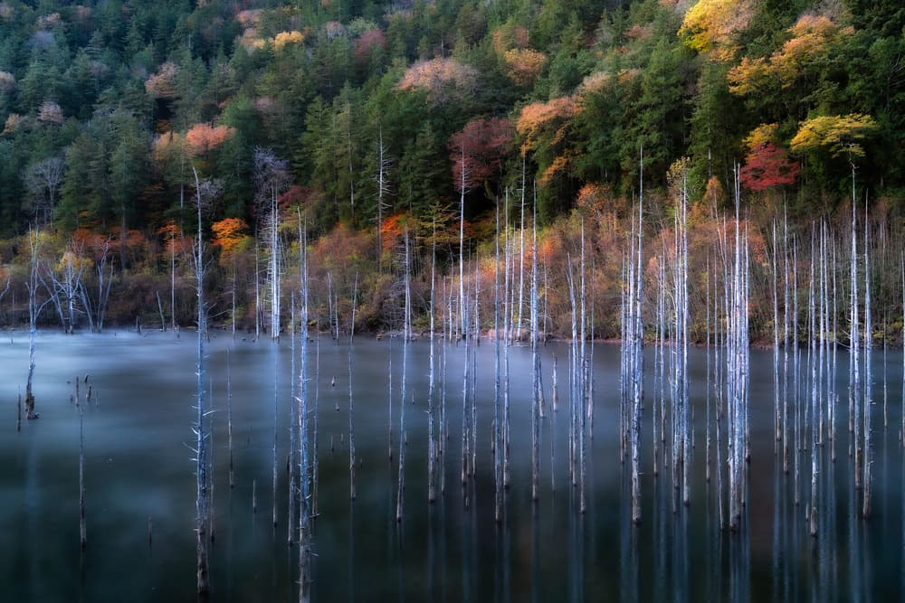 Misty Lake Autumn Trees by Takeshi Mitamura — canvas wall art