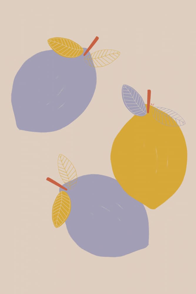 Lavender and Yellow Lemons by Menina Lisboa — canvas wall art