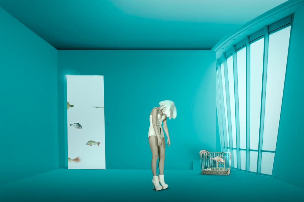 caging by Christine von Diepenbroek — canvas wall art