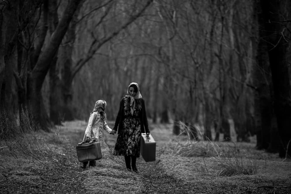 Solemn Forest Journey by Ummu Nisan Kandilcioglu — canvas wall art