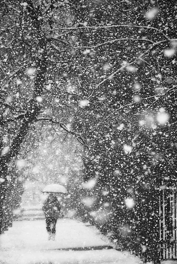 Lone Walker In Snow by Nicoleta Gabor — canvas wall art