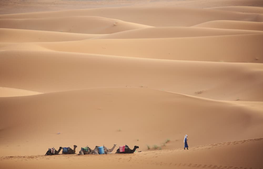 Moroccan Desert Journey by Clas Gustafson PRO — canvas wall art